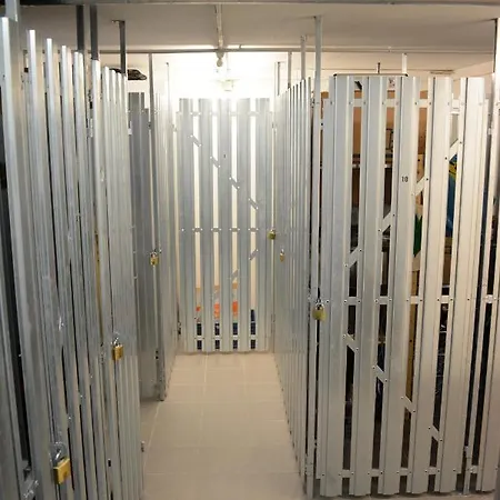 Forest Mountain * 巴德小基希海姆