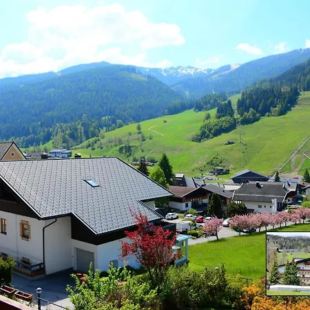Forest Mountain * Bad Kleinkirchheim