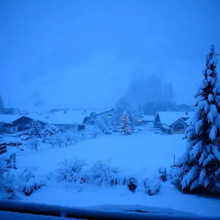 Forest Mountain Apartmán *